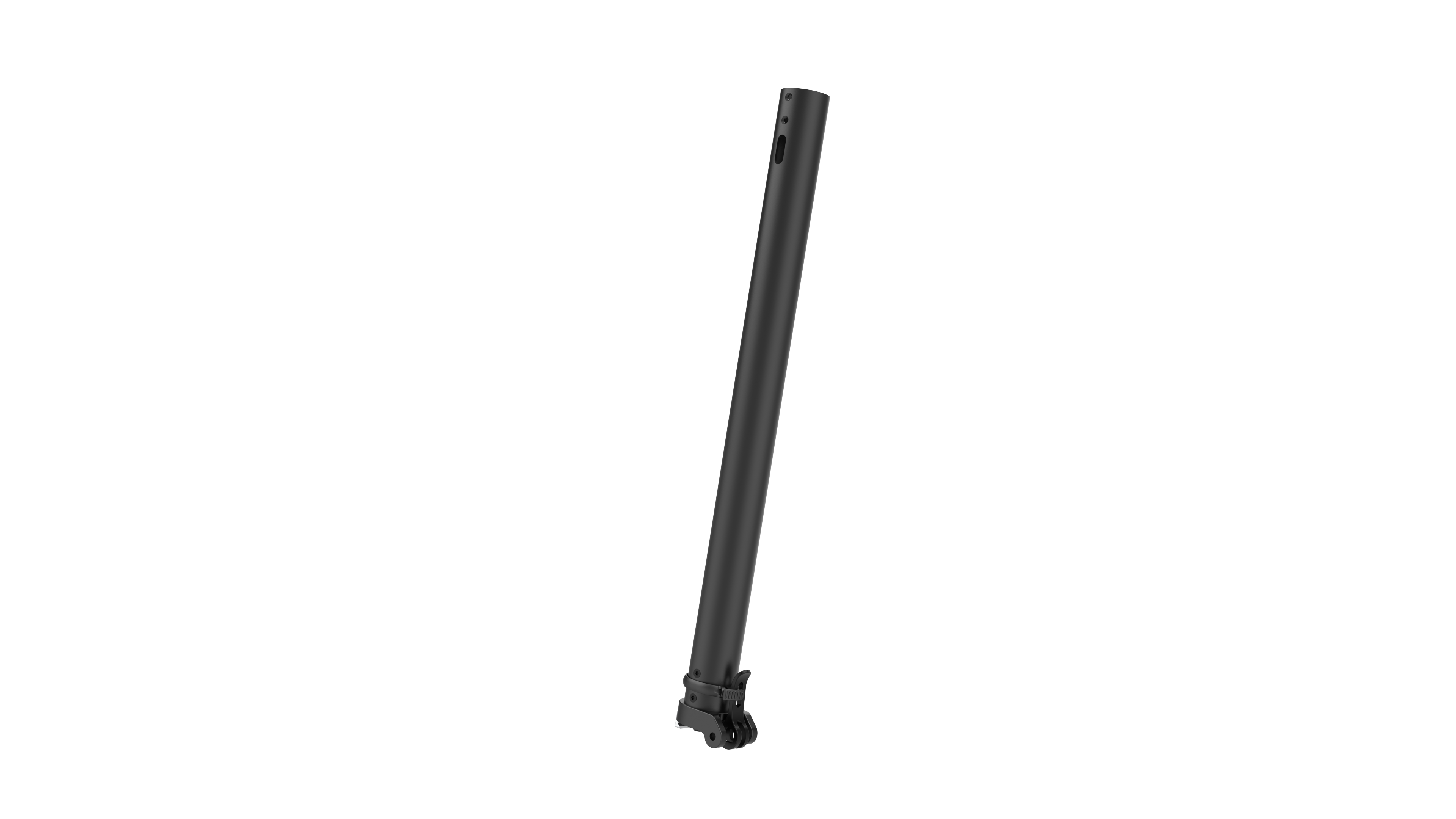 Aurora Stem